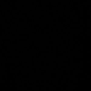 Meet your Posher, Seattle